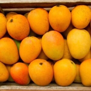 Ratnagiri Mango